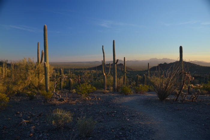 Along the Sunset Trail